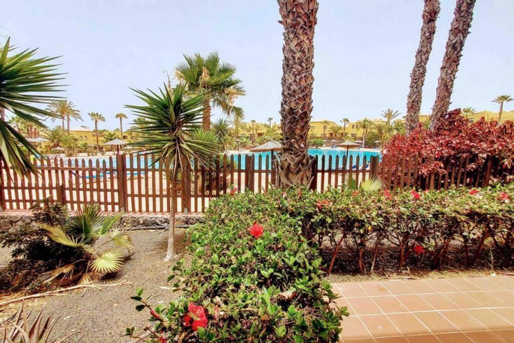Tamarindo 28, Pool Front,Free Wifi Apartment Corralejo Luaran gambar