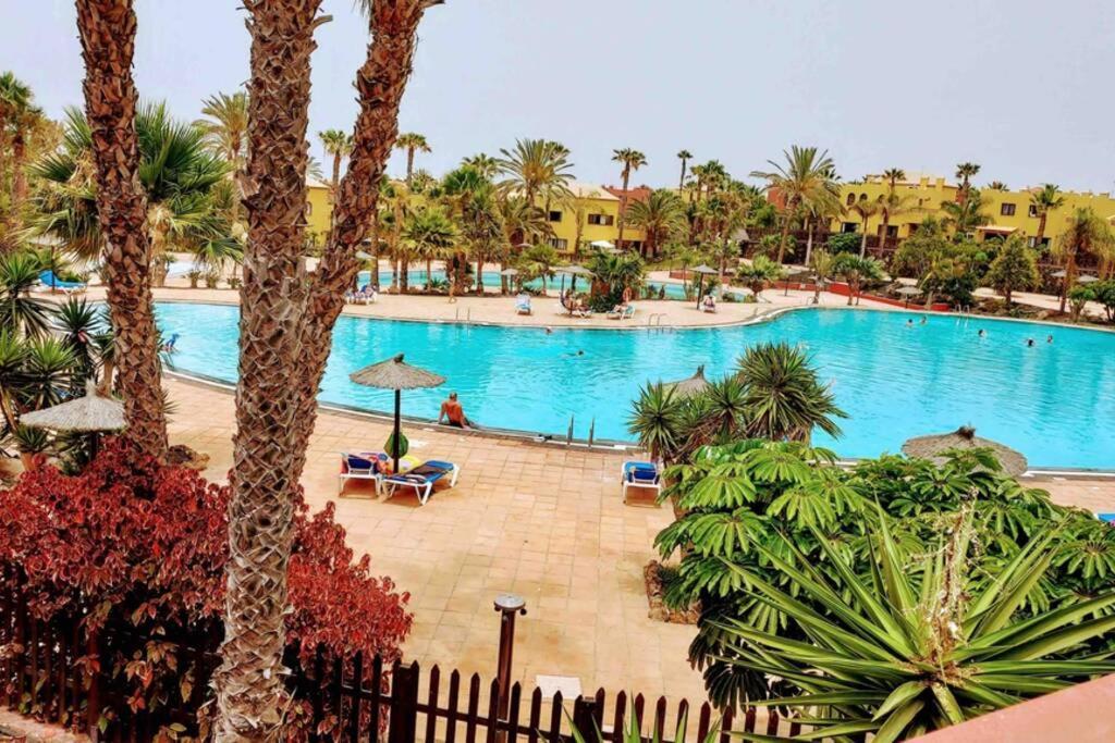 Tamarindo 28, Pool Front,Free Wifi Apartment Corralejo Luaran gambar