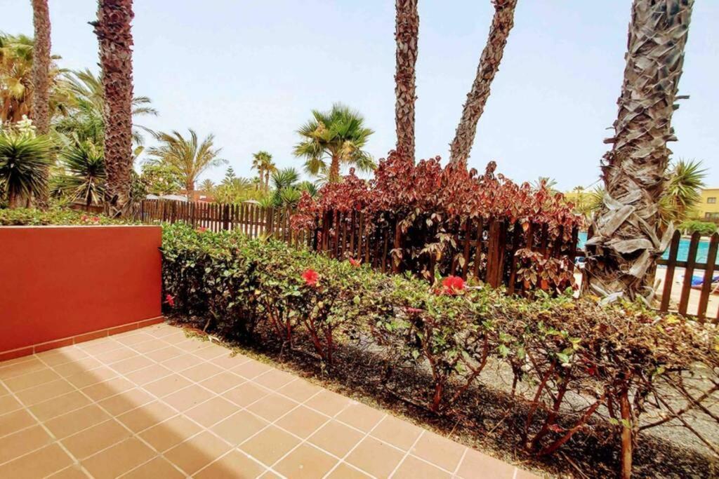Tamarindo 28, Pool Front,Free Wifi Apartment Corralejo Luaran gambar